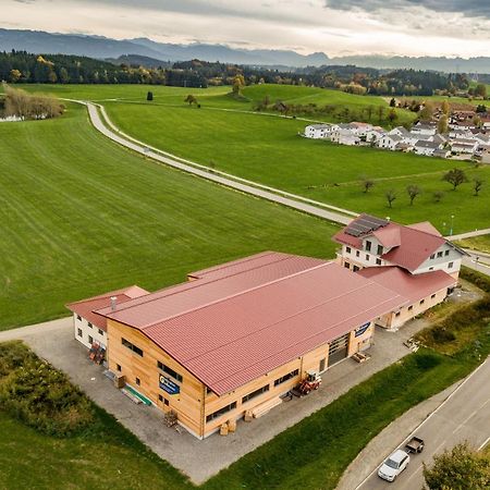Bodensee Apartment Allgaeu Alpenblick Ванген-ім-Алльгой Екстер'єр фото